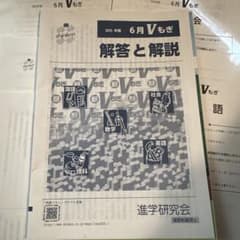 2025年 6月Vもぎ 1回分 問題 解答と解説 せっと - メルカリ