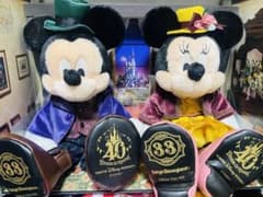会員限定】ディズニー クラブ 33 40周年限定 ミッキー＆ミニー