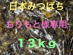 もりもと様専用】日本ミツバチの巣くず 13kg - メルカリ