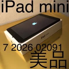 新品充電コード付属可7 2026 02091美品 iPad mini 黒ブラック - メルカリ