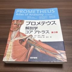 プロメテウス 解剖学 コア アトラス 第3版 - メルカリ