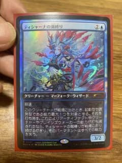 m64153465243_1.jpg?1739112933