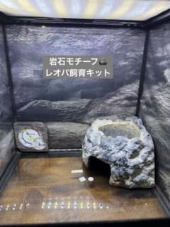 グラステラリウム3030 岩石モチーフフルセット - メルカリ