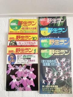 自然と野生ラン 1988年号 1, 10月1989年3月 他7冊セット - メルカリ