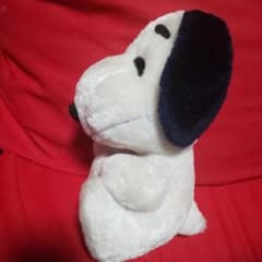 m68134196164_1.jpg?1674203078