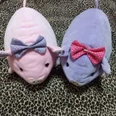 バンビーナ ふぁふぁとんさま ぬいぐるみ ピンク パープル ブタ