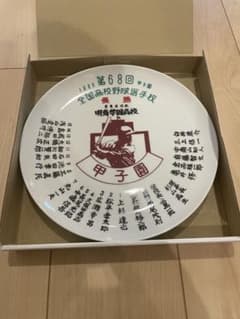 m69098212513_1.jpg?1753176572