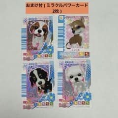 ワンタメ 【 パピーカード4枚セット＋おまけ2枚付 】 - メルカリ