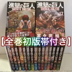 m69262838519_1.jpg?1726550059