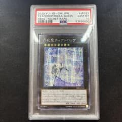PSA10 アジアシク 貫通横シク 六花聖ティアドロップ - メルカリ