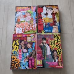 レディースコミック レディコミ4冊セット - メルカリ