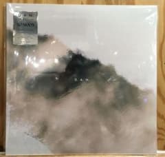 D.A.N. NO MOON レコード LP - メルカリ