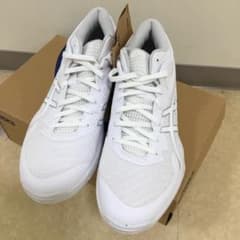 自己紹介文商品説明必読/パネンカさま 新品）29cm アシックス ゲル