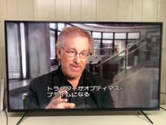 IRIS OHYAMA 55インチ 4K液晶テレビ 2020年製 セミジャンク | Shop at