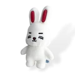 ミニティーン セブチ チェチェリー スンチョル エスクプス ぬいぐるみ