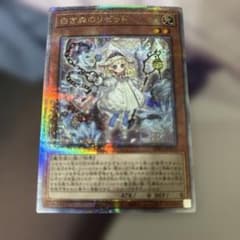 遊戯王 白き森のリゼット 25th クオシク - メルカリ