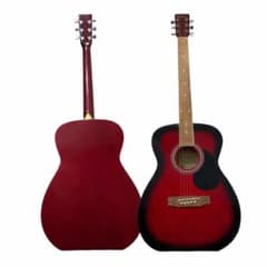 Vanguard VFG-01 RDS バンガード アコギ - メルカリ