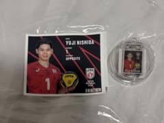 ワールドチャレンジ2025 サンバーズレプリカユニフォーム 小川智大 M