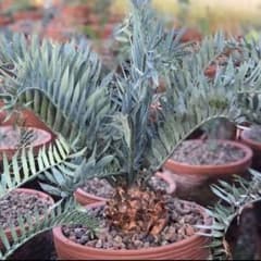 m16811650408_1.jpg?1761123813