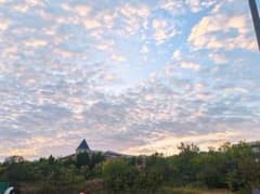 新品「SOYOブラシ」 10本セット 小田切ヒロさん熊野筆~a - メルカリ