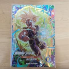 SDVTP-005 パラレル 大会 孫悟飯 少年期 スーパーダイバーズ - メルカリ