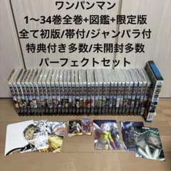 m18679820236_1.jpg?1754743043