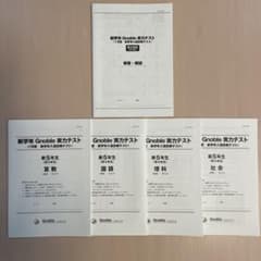 m19432361003_1.jpg?1738846754