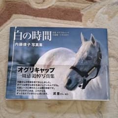 m19745542923_1.jpg?1698108077