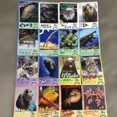 鳥羽水族館 コレクションカード ⑨ 16枚セット - メルカリ