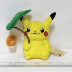 マンスリーピカチュウ 2005年6月ポケモンセンター限定 ポワルン