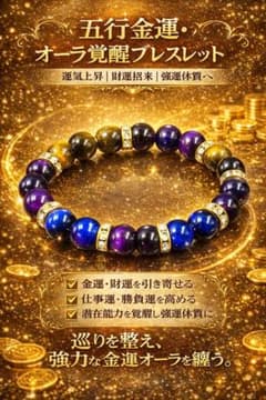 金運覚醒ブレスレット 金運を引き寄せる最強守護石 特級呪物