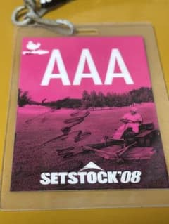 非売品 激レア 桜井和寿 直筆サイン入り SETSTOCK08バックステージパス