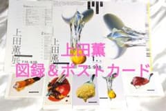 m13783013643_1.jpg?1716734274