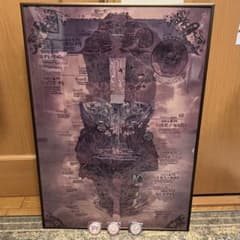 m13964124741_1.jpg?1756696183