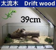 G96 灰汁抜き処理済み 太流木 爬虫類シェルター 両生類 レイアウト