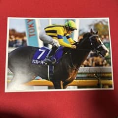 競馬 天皇賞秋 マスカレードボール ルメール 騎手 直筆サイン入り写真