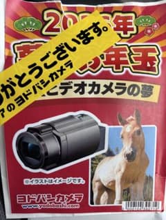 ヨドバシ 夢の箱福袋夢 ‼️Sony ソニー Handycam FDR-AX45A - メルカリ
