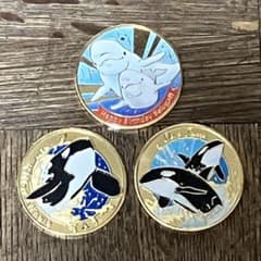 m28170978293_1.jpg?1713752583