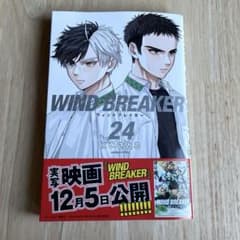 m29173974013_1.jpg?1765579942