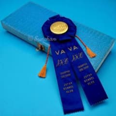 希少品】 ジャパンケネルクラブ チャンピオンドッグショー 受賞リボン