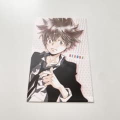 家庭教師ヒットマンREBORN！ リボーン 沢田綱吉 ポストカード - メルカリ