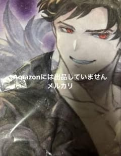 真・女神転生V 真V メガテン5 ナホビノ アクリルパネル アニメイト限定