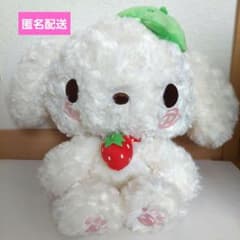 当時物】ベリーパピィ ぬいぐるみ サンエックス San-x 激レア タグ付き