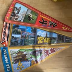 昭和レトロ 観光地土産ペナント19枚セット売り - メルカリ