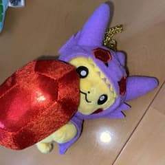 ポンチョ メガヤミラミ ピカチュウ ぬいぐるみ ポケモンセンター