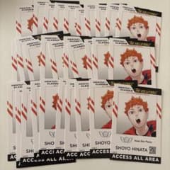 ハイキュー Vリーグ IDイメージカード 日向翔陽 29枚セット - メルカリ