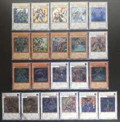 m30879241800_1.jpg?1737908610