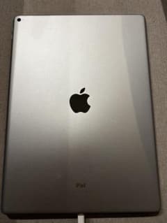 ジャンク iPad pro 12.9インチ 第1世代 グレー - メルカリ