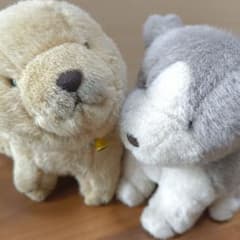 m31437165598_1.jpg?1753250390