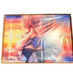 m31581124021_1.jpg?1767618642